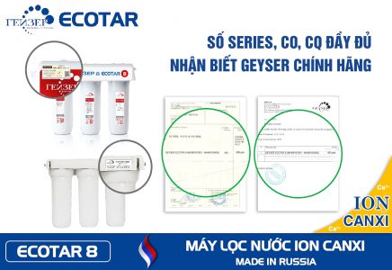 tiếu chuẩn CO/CQ