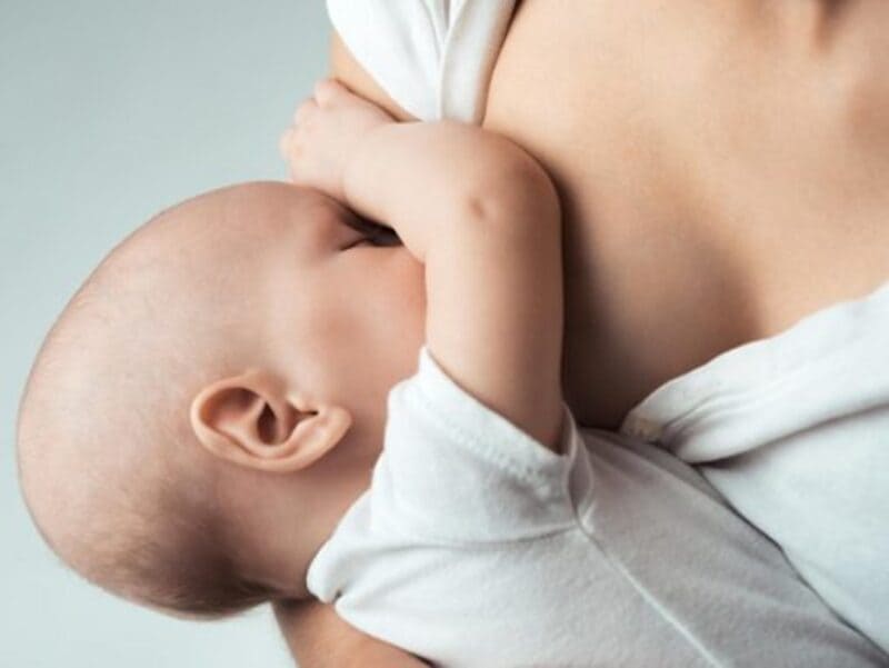 Lá đinh lăng có tác dụng gì cho bà đẻ