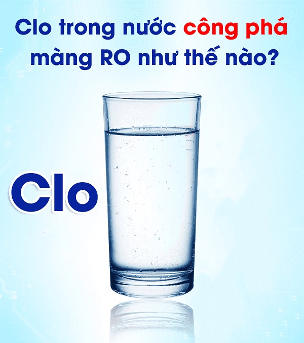Clo phá huỷ màng RO - Geyser Việt Nam