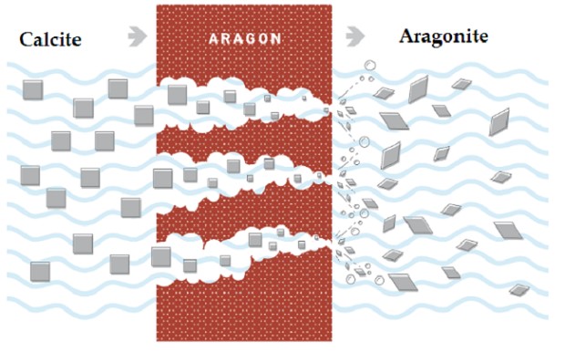 Tinh thể Aragonite có kích thước nhỏ hơn gấp 5 lần canxi thông thường