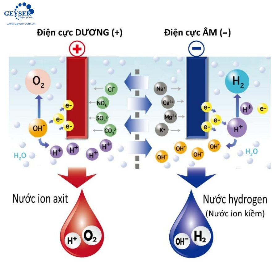 may-loc-nuoc-ion-kiem-co-tot-khong