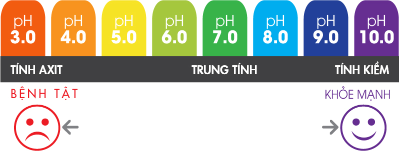 Vì sao nên duy trì trạng thái kiềm trong cơ thể?